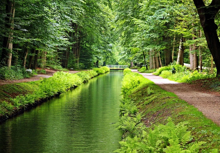 مدينه القلوب الطيبه