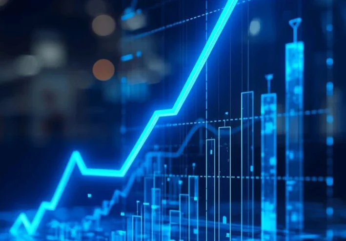 business project overview