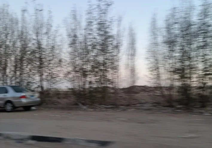 الشفاء من داء مؤلم .. بالدعاء