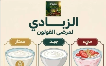 دليلك الشامل لأفضل أنواع الزبادي لراحة الجهاز الهضمي والقولون