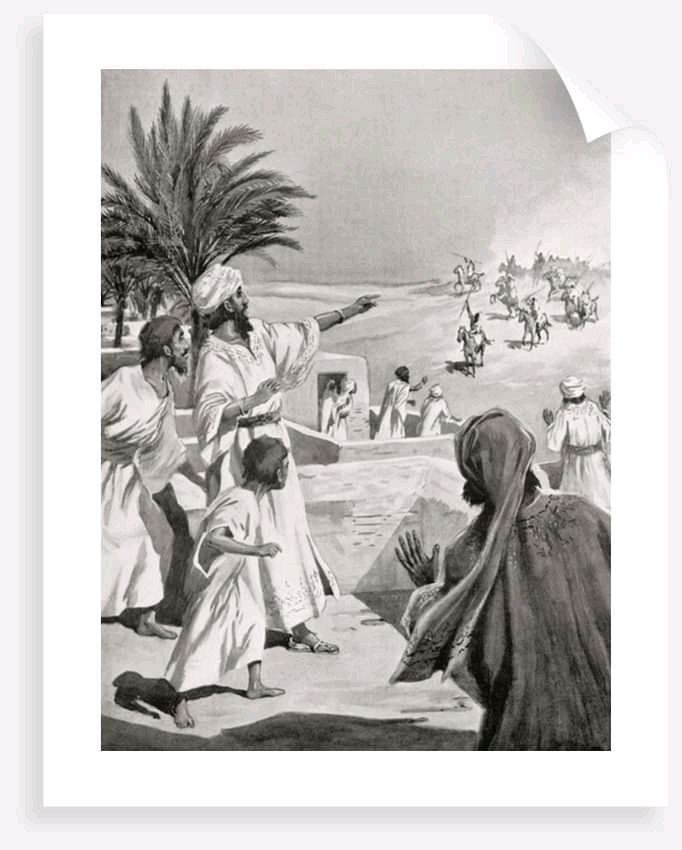 صورة مقال حين انتصر العفو على السيف