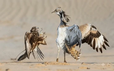  قوانين الأرض ضد قوانين الهواء.