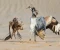 article image for  قوانين الأرض ضد قوانين الهواء.
