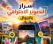 صورة مقال أسرار التصوير الاحترافي بالجوّال.. كيف تلتقط صورًا تنافس الكاميرات الاحترافية؟