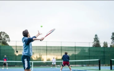 Sports Investment and Professionalism: An Economic Perspective on the Career of Star Alex de Minaur