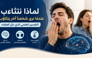 لماذا نتثاءب عندما نرى شخصًا آخر يتثاءب؟ التفسير العلمي الذي حيّر العلماء