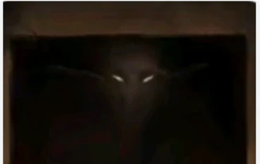 يحدث ليلا بعد النوم