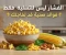 صورة مقال الفشار ليس للتسلية فقط.. فوائد صحية قد تجعله خيارًا ذكيًا في نظامك الغذائي