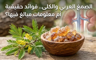 الصمغ العربي وصحة الكلى.. هل يدعم وظائفها أم تنتشر حوله معلومات مبالغ فيها؟