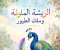 صورة مقال الريشة الملونة وملك الطيور: من أجمل قصص الأطفال المصورة والتربوية