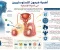 صورة مقال اهميه التستيرون في الصحه الانجابية