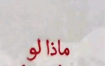 تحميل كتاب سلاح التلميذ علوم الصف الخامس الابتدائي الترم الأول 2027 PDF أحدث إصدار | رابط مباشر مجاني وشرح كامل للمنهج