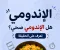 صورة مقال الأكلات المحضرة مثل الإندومي: بين سهولة التحضير وأضرار الإفراط في تناولها