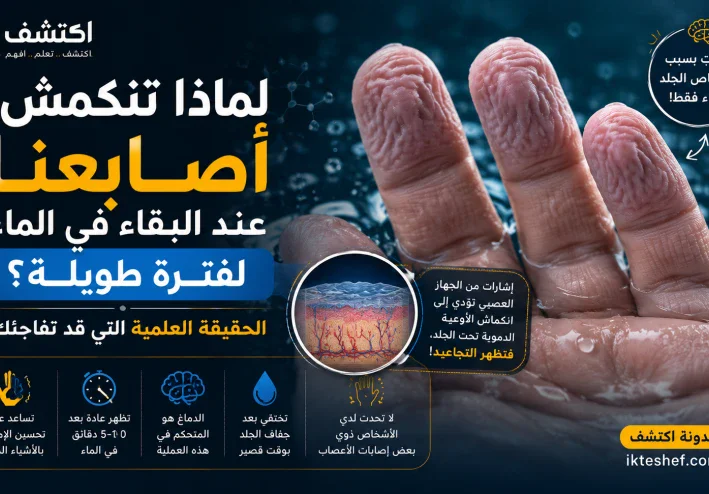 لماذا تنكمش أصابعنا عند البقاء في الماء لفترة طويلة؟ الحقيقة العلمية التي قد تفاجئك
