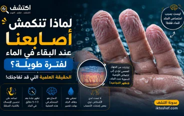 لماذا تنكمش أصابعنا عند البقاء في الماء لفترة طويلة؟ الحقيقة العلمية التي قد تفاجئك