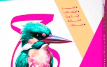 📗تحميل كتاب الامتحان في اللغة العربية كتاب الأسئلة الجزء الثاني للصف الثالث الثانوي 2027 PDF | أحدث نسخة للثانوية العامة