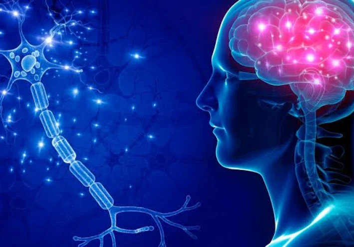 فوق مستوى التقنية: لماذا تقف التكنولوجيا الحديثة عاجزة أمام تكنولوجيا الخلق؟