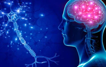 فوق مستوى التقنية: لماذا تقف التكنولوجيا الحديثة عاجزة أمام تكنولوجيا الخلق؟