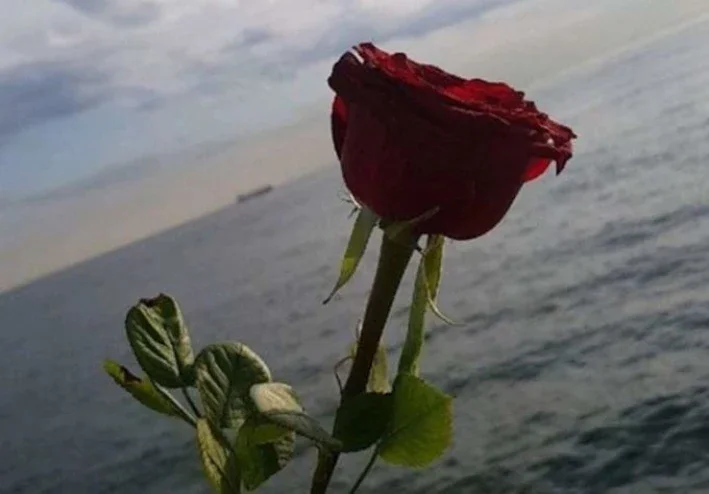 مشكلة التعود على وجود النعم فى حياتنا