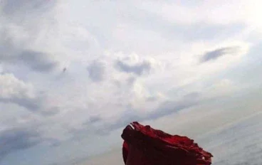  مشكلة التعود على وجود النعم فى حياتنا
