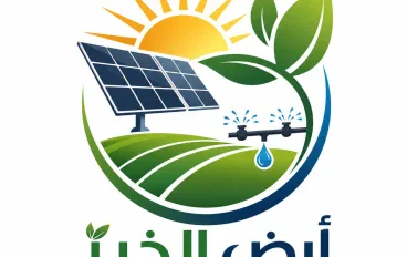 محصول السمسم في مصر: من الحصاد حتى تحقيق أعلى ربح ممكن (سعر السمسم 2026)