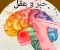 صورة مقال تحميل كتاب الأضواء عربي الصف الثاني بكالوريا الترم الأول 2027 PDF