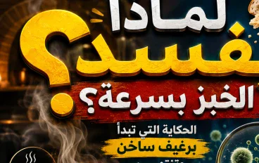 لماذا يفسد الخبز بسرعة؟.. الحكاية التي تبدأ برغيف ساخن وتنتهي بعفن قد لا تراه بعينيك