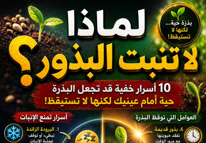 لماذا لا تنبت البذور؟.. 10 أسرار خفية قد تجعل البذرة حية أمام عينيك لكنها لا تستيقظ!