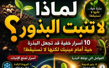 لماذا لا تنبت البذور؟.. 10 أسرار خفية قد تجعل البذرة حية أمام عينيك لكنها لا تستيقظ!