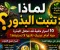 صورة مقال لماذا لا تنبت البذور؟.. 10 أسرار خفية قد تجعل البذرة حية أمام عينيك لكنها لا تستيقظ!