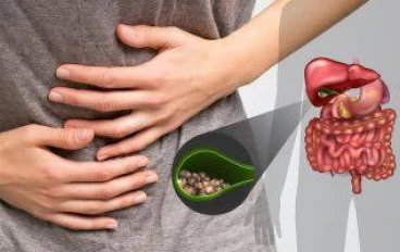 What is the gallbladder in the human body, causes of inflammation and symptoms