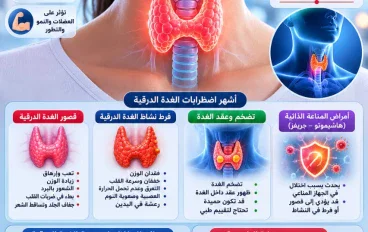 الغدة الدرقية: وظائفها وأهم أمراضها وأعراضها وطرق الحفاظ على صحتها