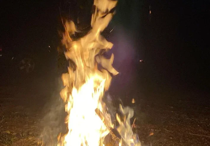 طيف الياسمين والندم الابدي