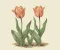 article image for توليب جريجي (Tulipa Greigii): دليلك الشامل لأجمل أصناف التوليب المبكرة الإزهار