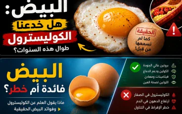 ⚠️ البيض: الحقيقة التي لم يخبرك بها أحد🔥