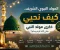 صورة مقال كيف نحيي ذكرى مولد النبي صلى الله عليه و سلم ؟
