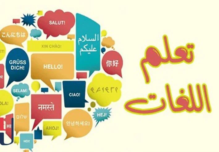 تعلم اللغات الأجنبية: خطوات عملية لتحسين المهارات وبناء عادة يومية تساعدك على التحدث بثقة ووضوح حقًا