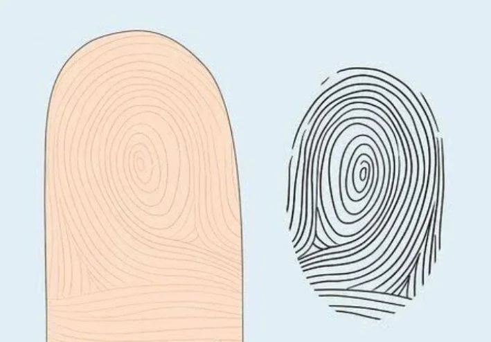 البصمات في الإنسان والحيوان والطيور