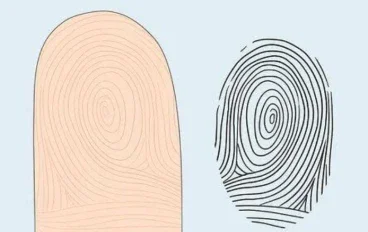 البصمات في الإنسان والحيوان والطيور