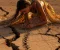 صورة مقال التصحر مشكله العصر ما لاتعرفه عن اثار التصحر علي حياتك 