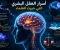 صورة مقال أسرار العقل البشري التي حيرت العلماء