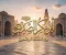 صورة مقال أبو بكر الصديق رضي الله عنه.. 7 مواقف صنعت أعظم صاحب لرسول الله ﷺ وأنقذت الدعوة في أصعب لحظاتها