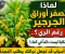 صورة مقال لماذا تصفر أوراق الجرجير رغم الري؟.. الحكاية ليست دائمًا في الماء! 7 أسباب قد تجعل نباتك يطلب النجدة