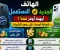 article image for الهاتف المستعمل أم الجديد؟.. أيهما أوفر فعلًا؟ الإجابة ليست في سعر الشراء!