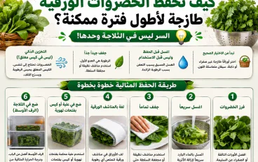 كيف تحفظ الخضروات الورقية طازجة لأطول فترة ممكنة؟.. السر ليس في الثلاجة وحدها!