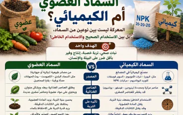 السماد العضوي أم الكيميائي؟.. المعركة ليست بين نوعين من السماد، بل بين الاستخدام الصحيح والاستخدام الخاطئ!