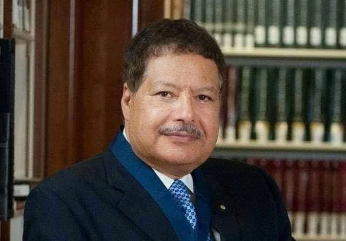 احمد زويل الفارس المصري