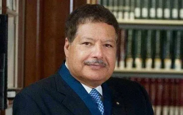 احمد زويل الفارس المصري 