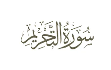 شرح سورة التحريم 