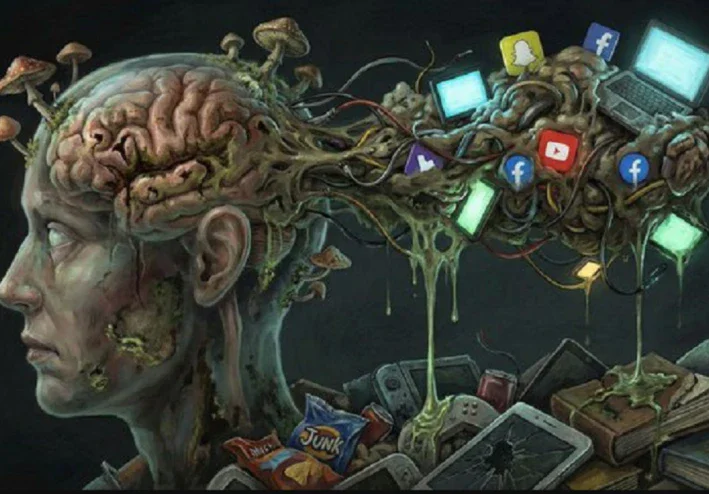 التعفن الدماغي Brain Rot.. كيف يؤثر الإفراط في المحتوى الرقمي على العقل؟